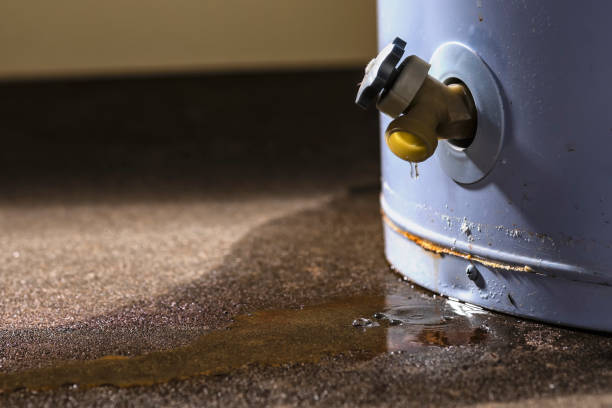 Best Flood damage cleanup  in Cameron, WI