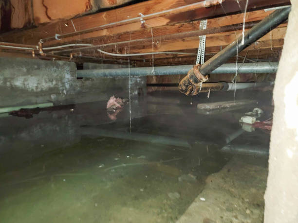 Trusted WI Water damage restoration Experts