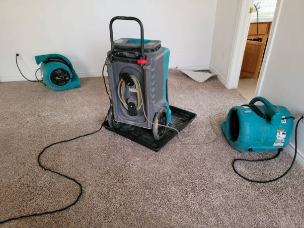 Best Water damage restoration experts  in Cameron, WI