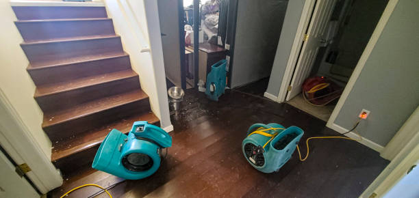 Best Water damage restoration near me  in Cameron, WI