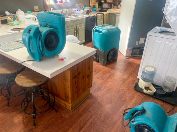Best Mold removal after water damage  in Cameron, WI