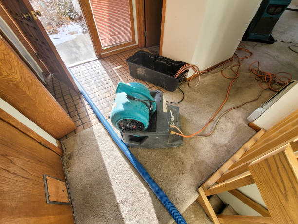 Best Water damage restoration process  in Cameron, WI
