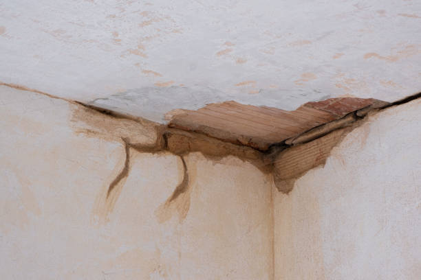 Best Carpet water damage restoration  in Cameron, WI