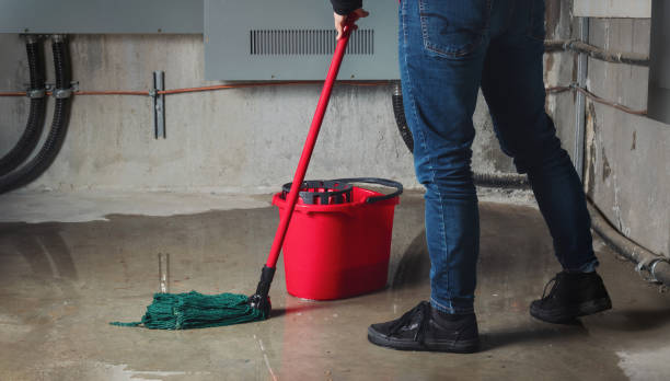 Best Water damage restoration near me  in Cameron, WI