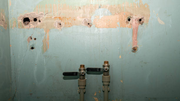 Best 24-hour water damage restoration  in Cameron, WI