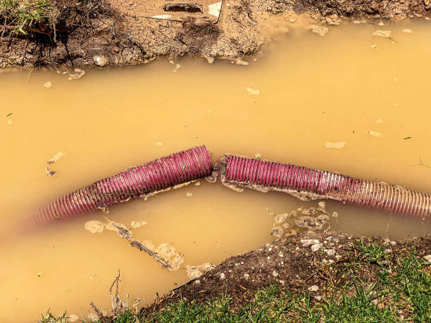 Best Water damage cleanup near me  in Cameron, WI