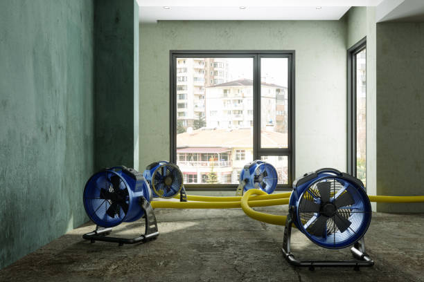Best Sewage cleanup and water damage restoration  in Cameron, WI
