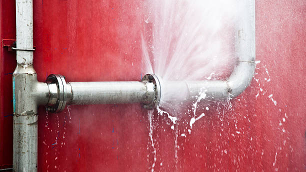 Best Flood restoration services  in Cameron, WI