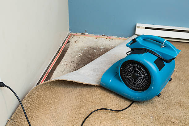 Best Fire Damage Restoration  in Cameron, WI